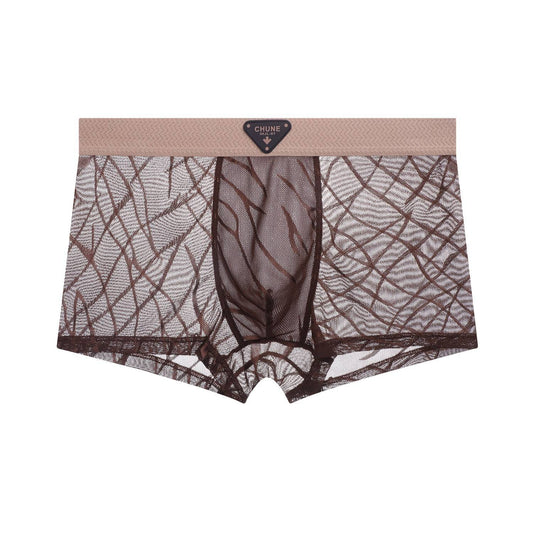 QS Mesh Breathable Sexy Boxer Briefs