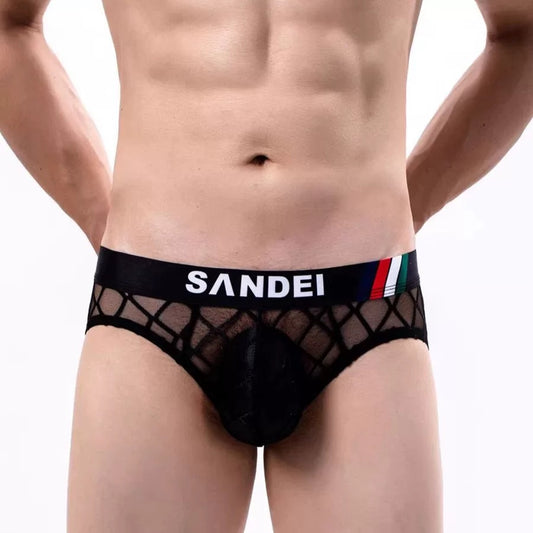 QS Sexy Sheer Cross Mesh Sports Briefs