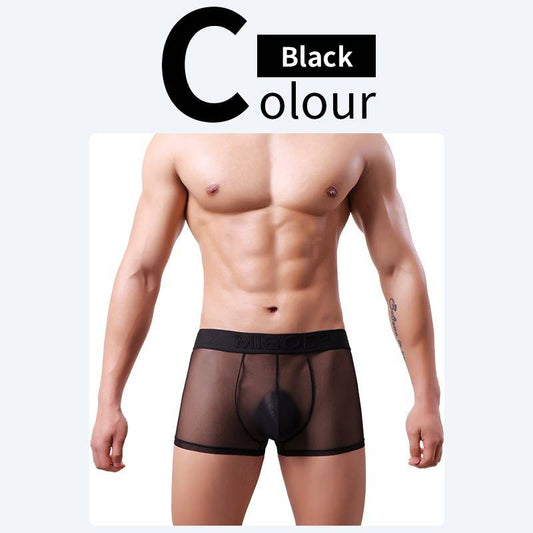 QS Sheer Ice Silk Sexy Boxer Briefs