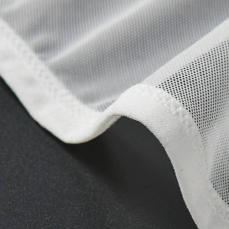 QS Semi-transparent Mesh Big Pouch Sexy Briefs