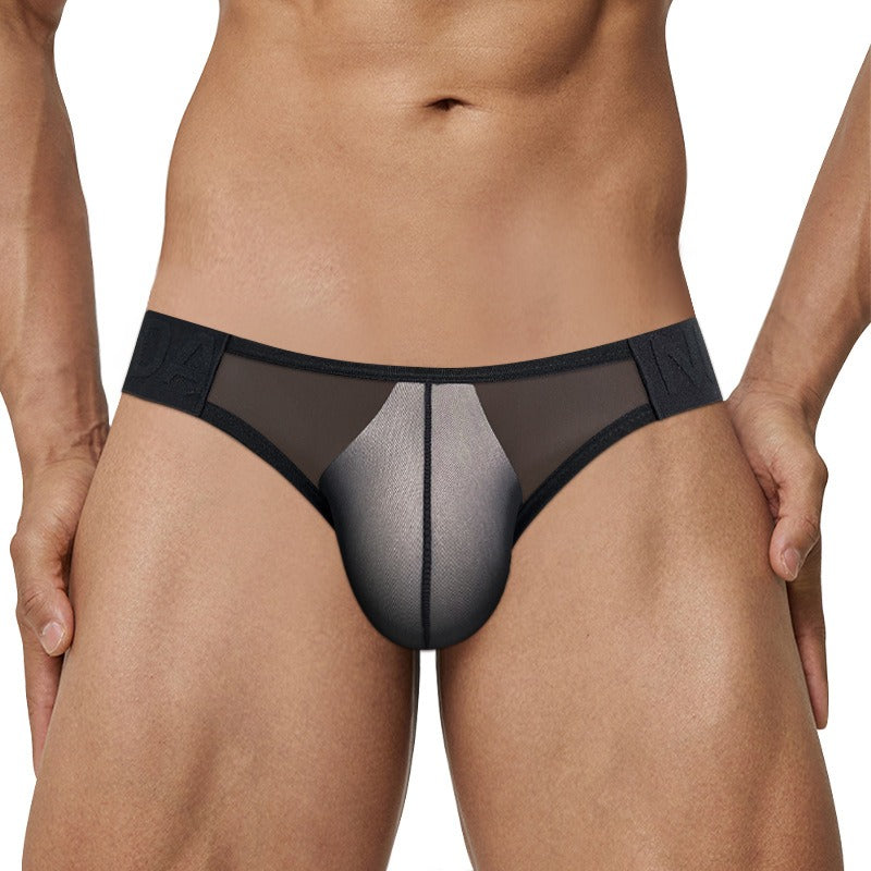 QS Sheer Low-rise Sexy Briefs