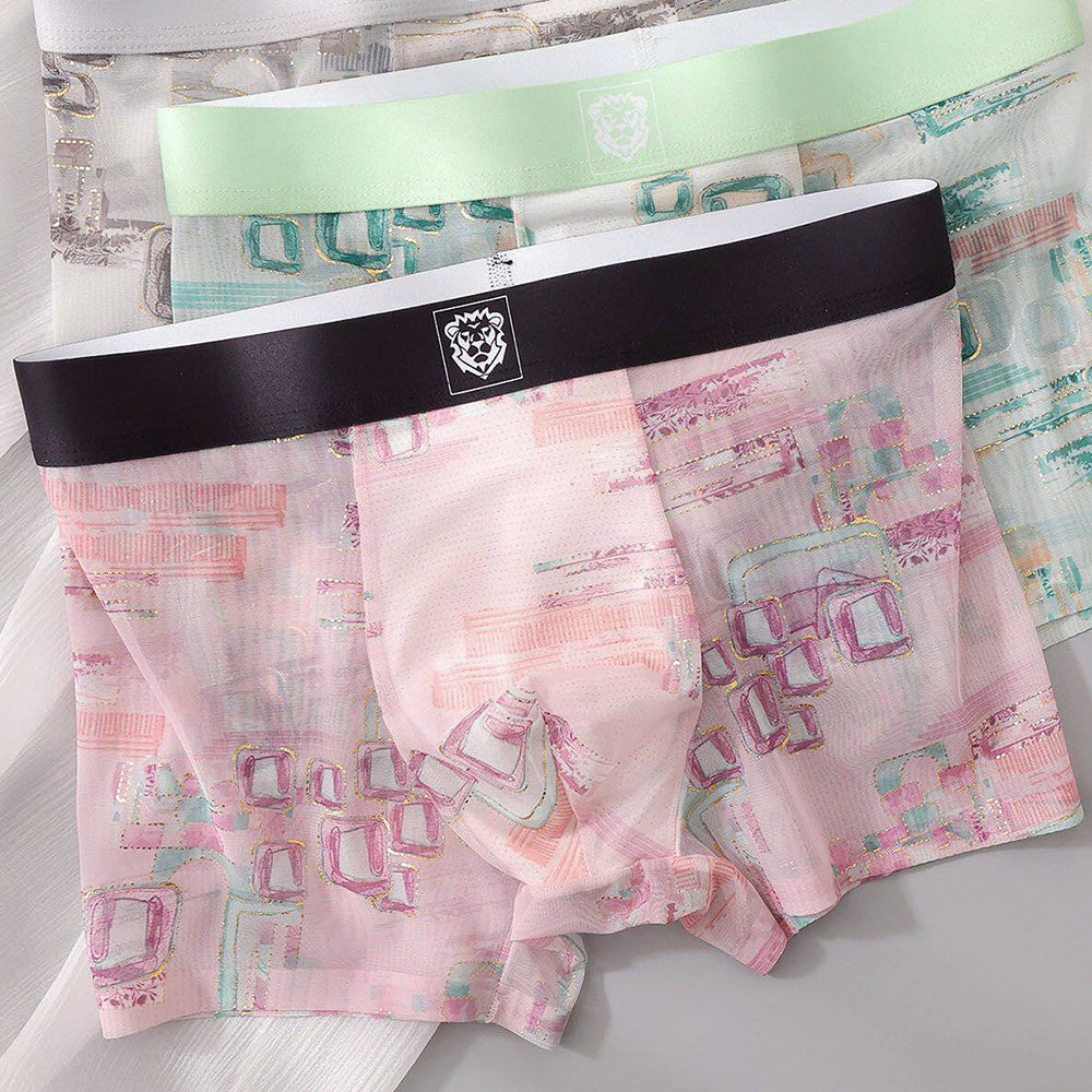Sheer Ice-Silk Mesh Boxer Briefs
