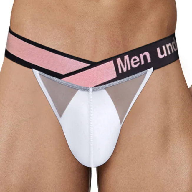 V-belt mesh briefs