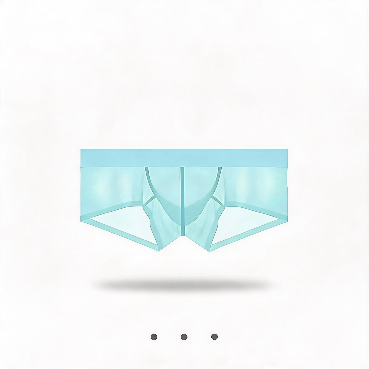 ZDSheer Ice Silk Briefs