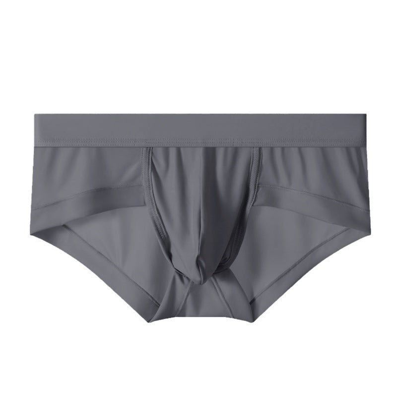 ZD Silky Low-Rise Briefs