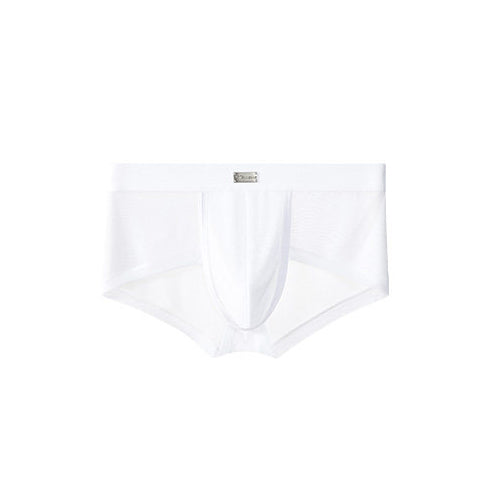 Double Side Sheer Mesh Minimal Low-Rise Briefs