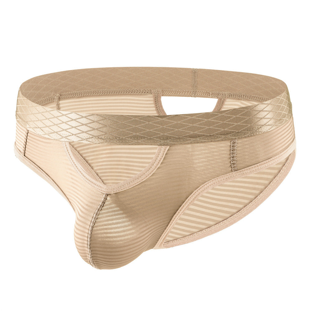 ZDStriped Sheer Briefs
