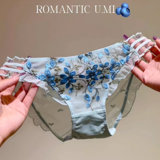 QS Luxury Lace Embroidered Panties (4 Packs)