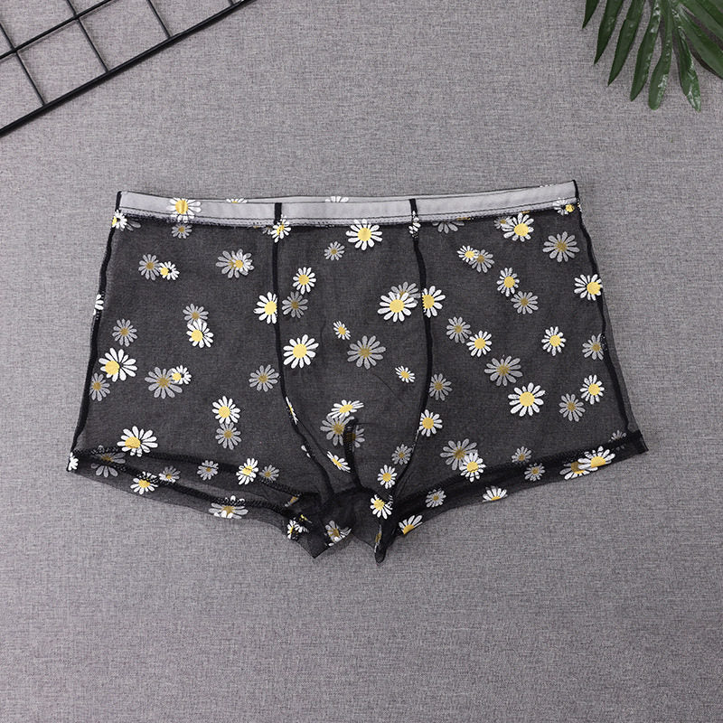 ZD Sheer Daisy Boxer Briefs