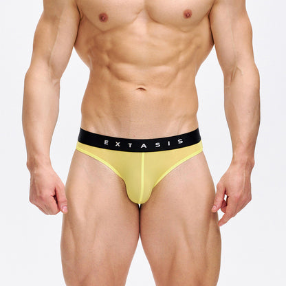Simple multi-color semi-transparent stretch underwear