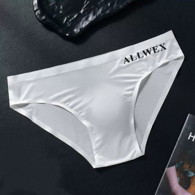 QS Satin Large Pouch Briefs