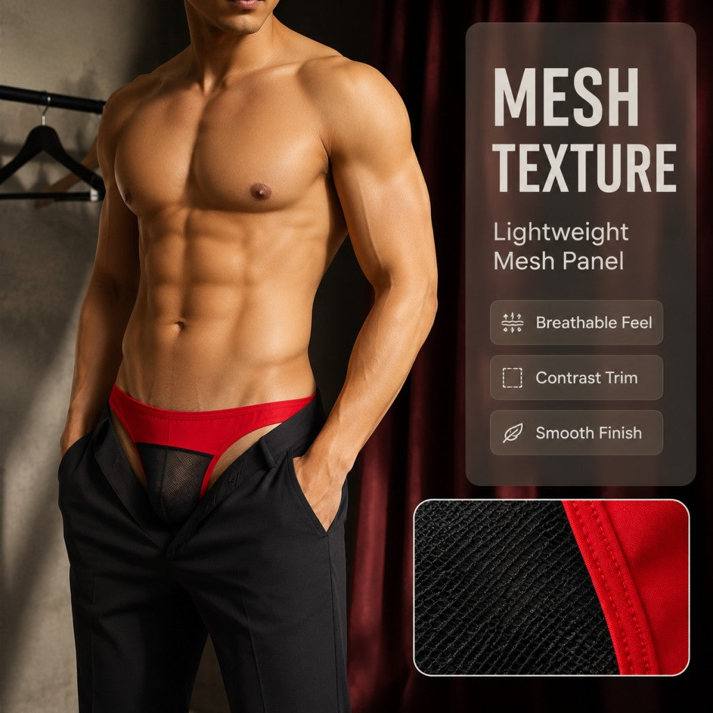 Front Mesh Sheer Stretch Low Rise Men's Briefs