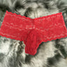 QS Sexy Transparent Lace Briefs