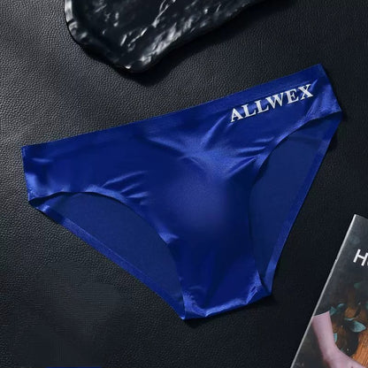 QS Satin Large Pouch Briefs