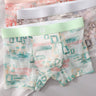 Sheer Ice-Silk Mesh Boxer Briefs
