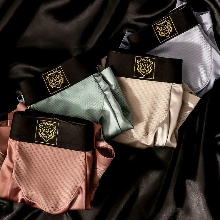 Satin & Mesh Panel Luxury Boxer Briefs