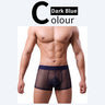 QS Sheer Ice Silk Sexy Boxer Briefs