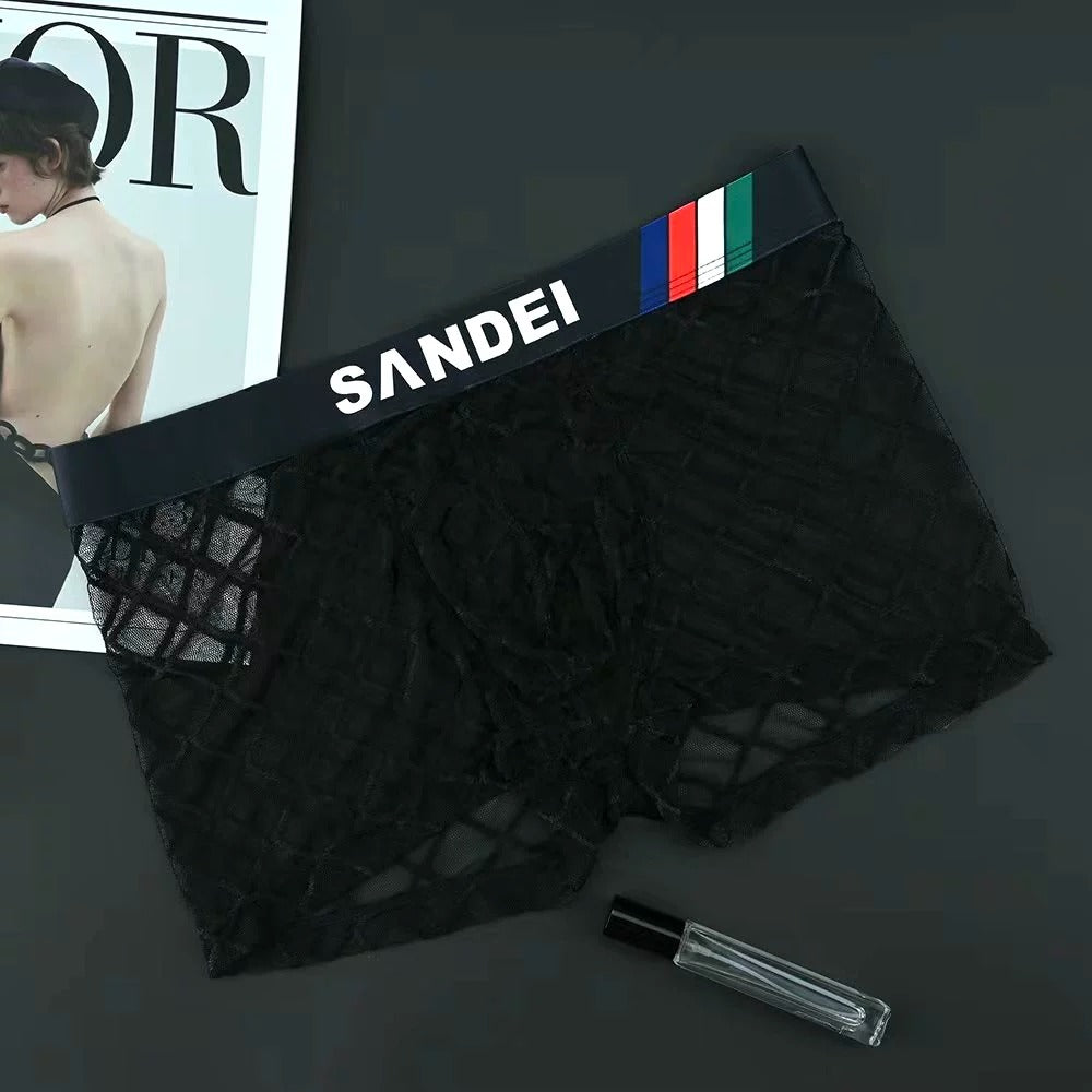 QS See-through Mesh Sexy Boxer Briefs