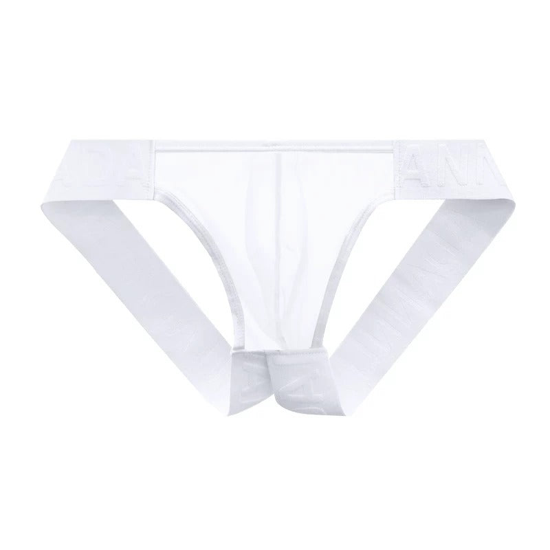 QS Sheer Low-rise Sexy Briefs