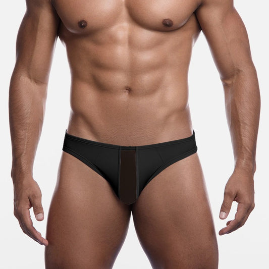 QS Transparent Paneled Cotton Breathable Briefs