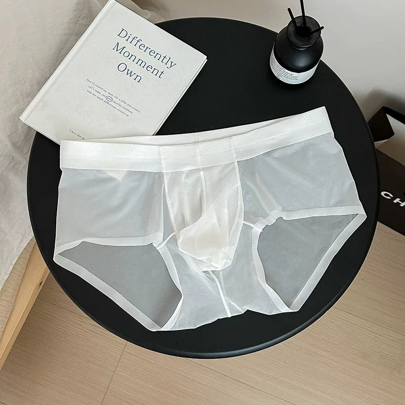 QS Sheer Ice Silk Breathable Briefs