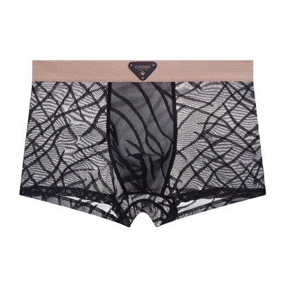 QS Mesh Breathable Sexy Boxer Briefs