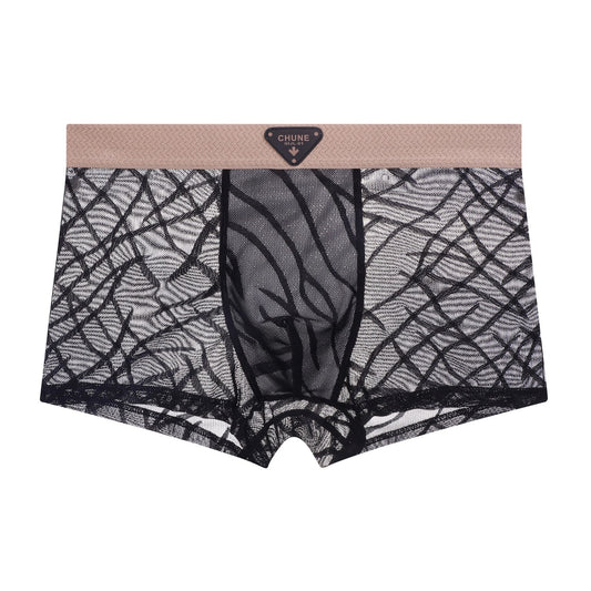 QS Mesh Breathable Sexy Boxer Briefs