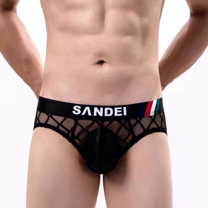 QS Sexy Sheer Cross Mesh Sports Briefs