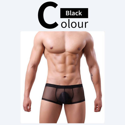 QS Sheer Ice Silk Sexy Boxer Briefs