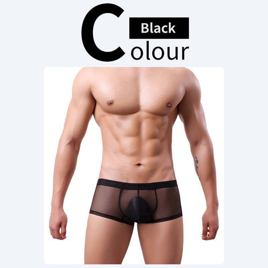 QS Sheer Ice Silk Sexy Boxer Briefs
