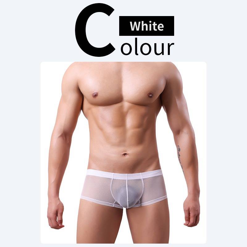 QS Sheer Ice Silk Sexy Boxer Briefs