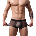 QS Sheer Ice Silk Sexy Boxer Briefs