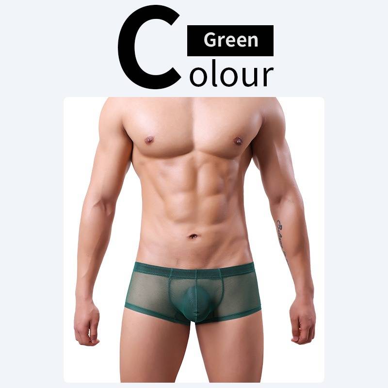 QS Sheer Ice Silk Sexy Boxer Briefs