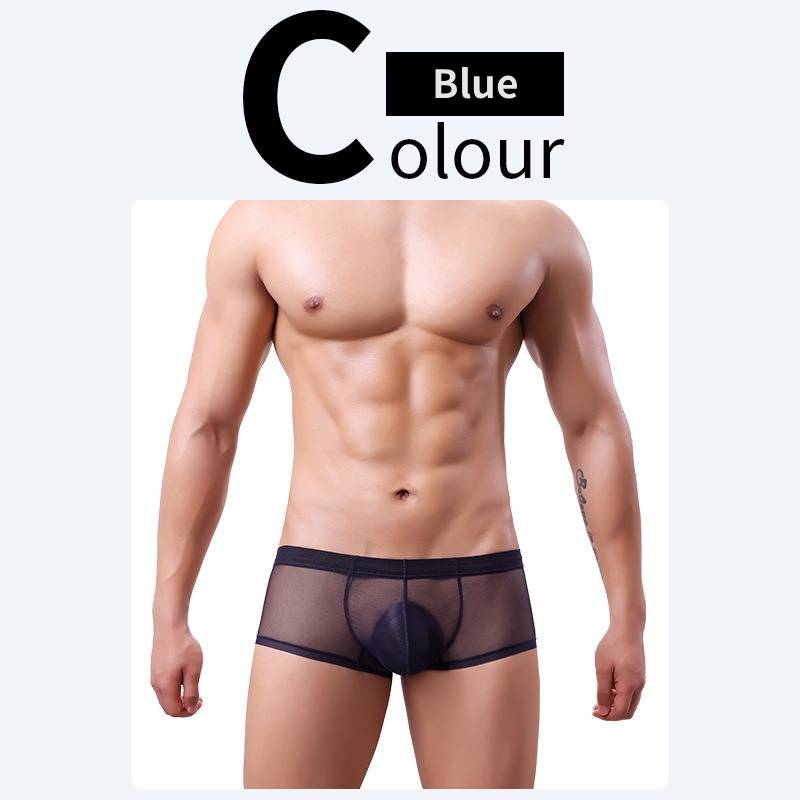 QS Sheer Ice Silk Sexy Boxer Briefs
