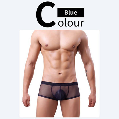 QS Sheer Ice Silk Sexy Boxer Briefs