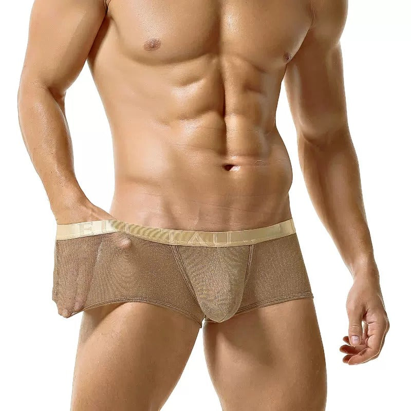 QS Mesh Shiny Breathable Boxer Briefs