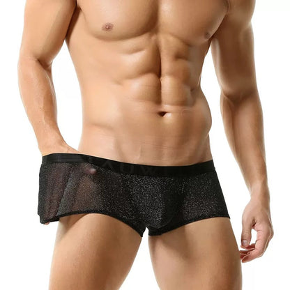 QS Mesh Shiny Breathable Boxer Briefs