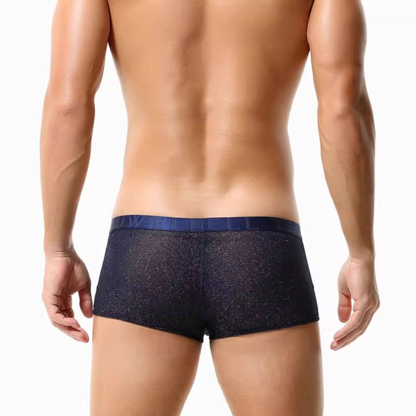 QS Mesh Shiny Breathable Boxer Briefs