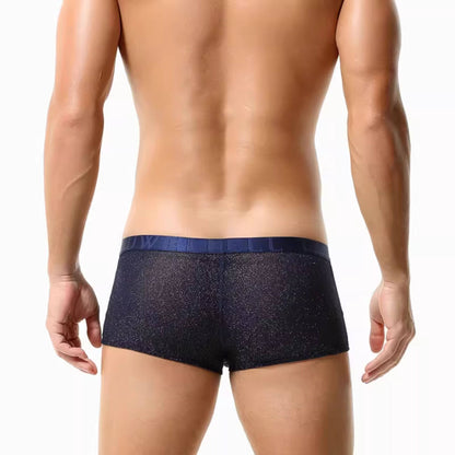QS Mesh Shiny Breathable Boxer Briefs