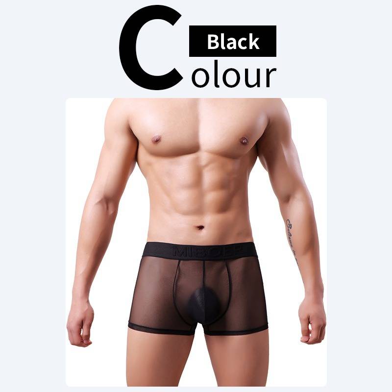 QS Sheer Ice Silk Sexy Boxer Briefs