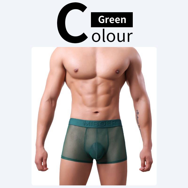 QS Sheer Ice Silk Sexy Boxer Briefs