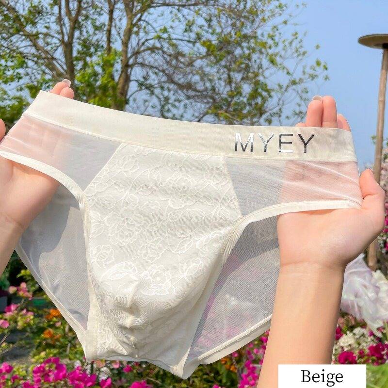 QS Lace Mesh Sexy Briefs