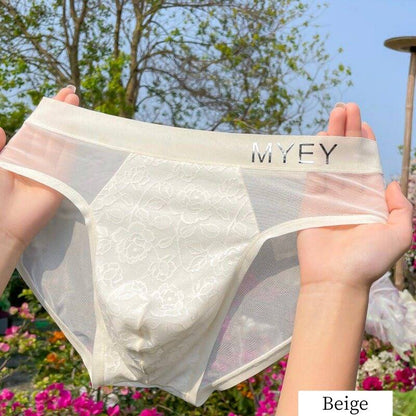 QS Lace Mesh Sexy Briefs