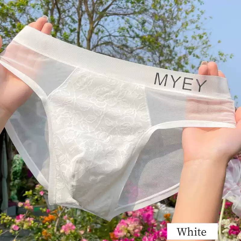 QS Lace Mesh Sexy Briefs