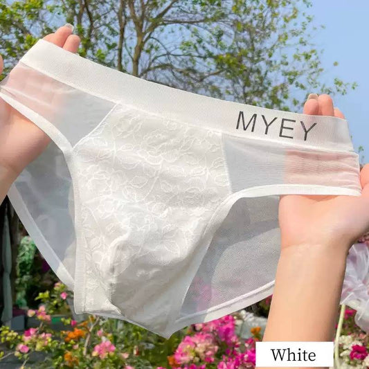 QS Lace Mesh Sexy Briefs