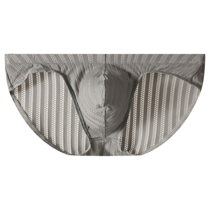 QS Striped Mesh Sexy Briefs