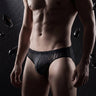 QS Striped Mesh Sexy Briefs
