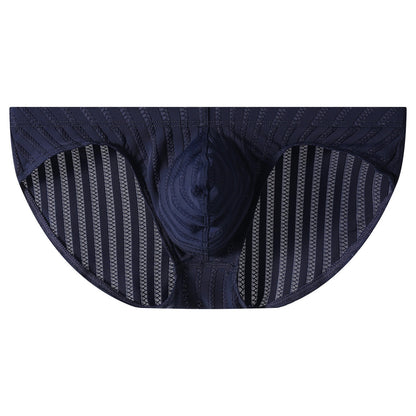 QS Striped Mesh Sexy Briefs