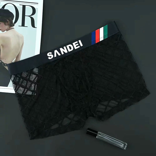 QS See-through Mesh Sexy Boxer Briefs