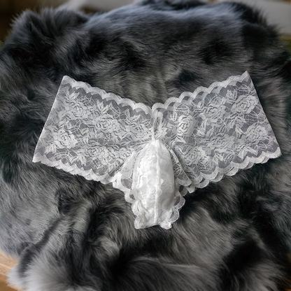 QS Sexy Transparent Lace Briefs